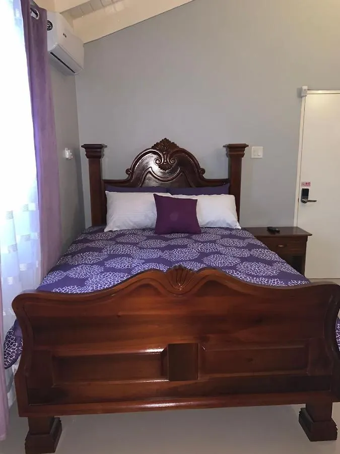 Kwatera prywatna Paradise Villa Shared Onsite Private Pool Onsite Gym Ocho Rios Jamajka